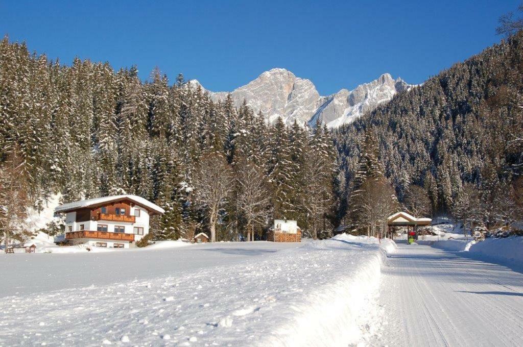 Haus Bergquell Daire Ramsau am Dachstein Dış mekan fotoğraf